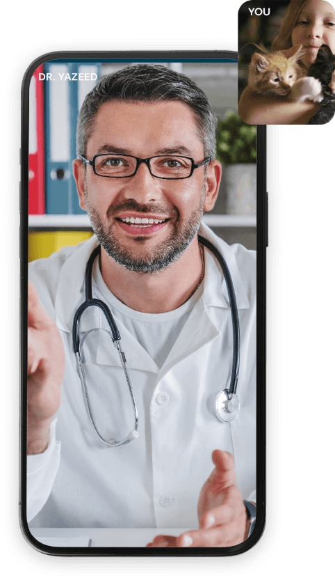 chat with vet