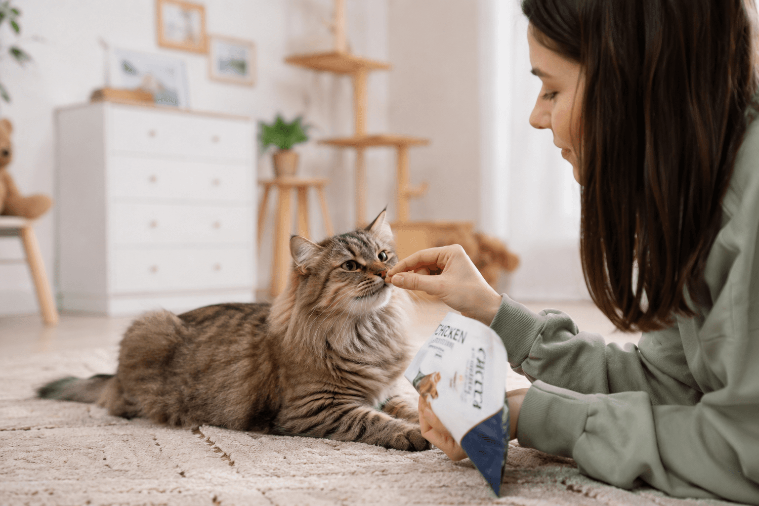 A healthy and active cat benefiting from proper nutrition and care