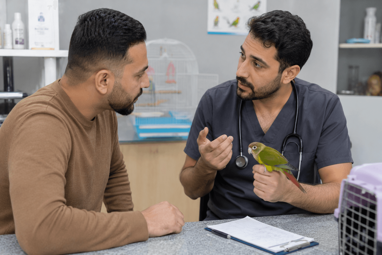 Bird owner consulting a veterinarian about bird feather loss treatment and prevention of future feather loss.