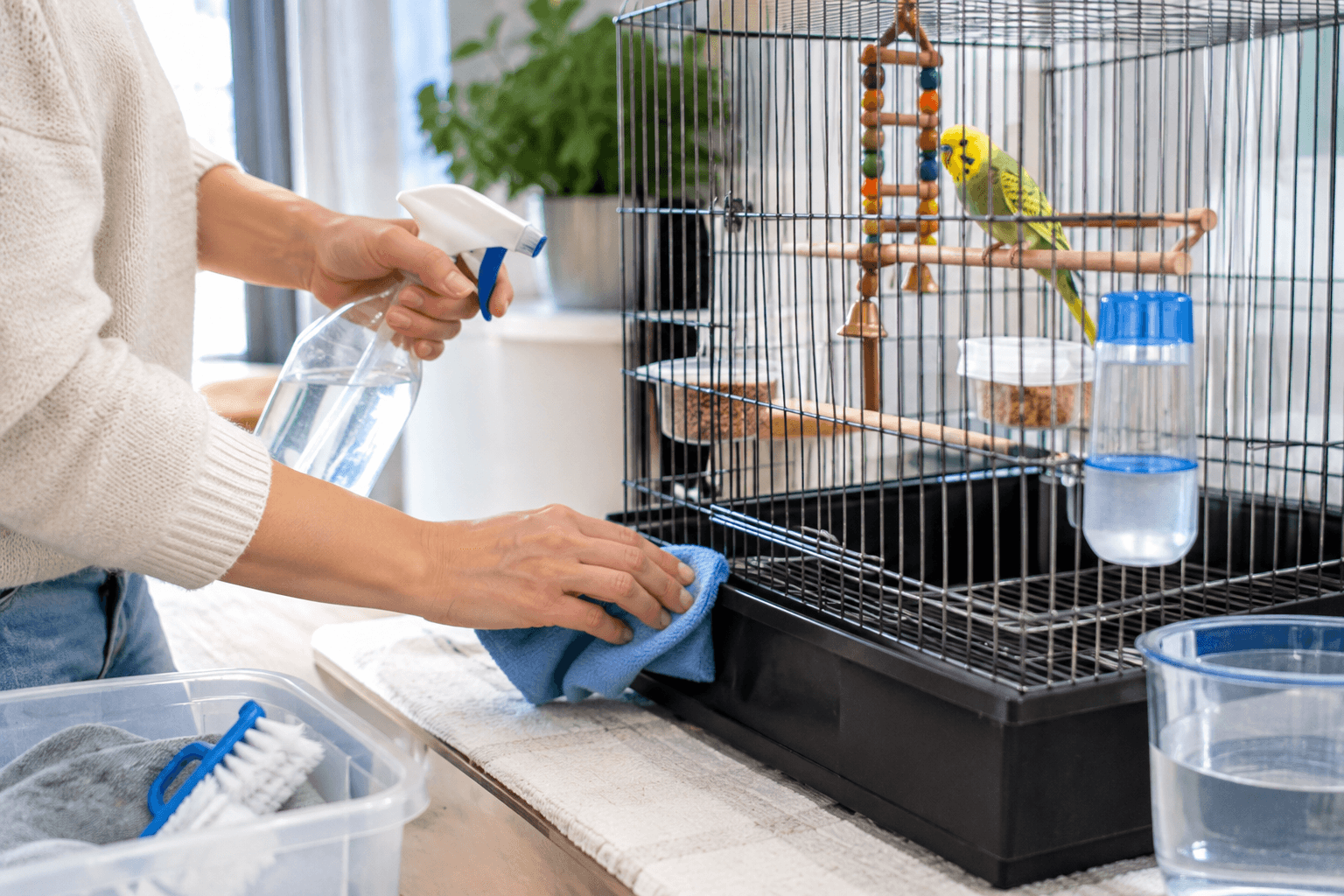Cleaning a pet bird cage and providing fresh water to maintain hygiene and health.